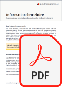 Informationsflyer Industriestrompreis .pdf